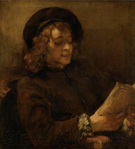 REMBRANDT Harmenszoon van Rijn Titus van Rijn, reading Spain oil painting art